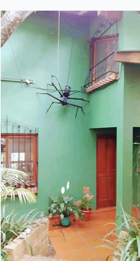דירות פוארטו איגואסו Jardin De Naipi 3 מראה חיצוני תמונה
