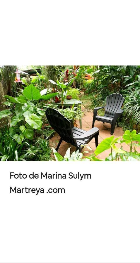 דירות פוארטו איגואסו Jardin De Naipi 3 חדר תמונה