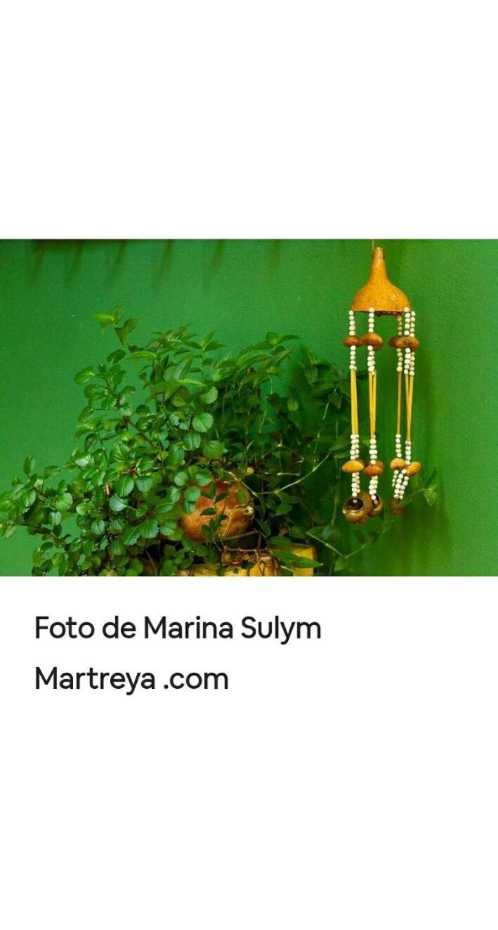 דירות פוארטו איגואסו Jardin De Naipi 3 חדר תמונה